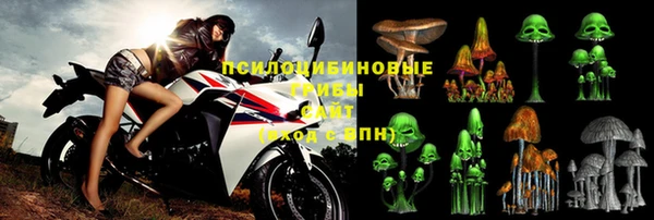 2c-b Белокуриха