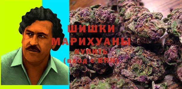 2c-b Белокуриха