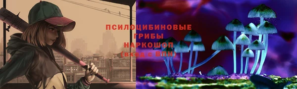 2c-b Белокуриха