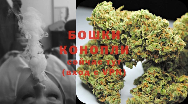 2c-b Белокуриха